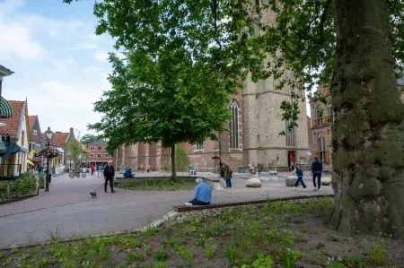 Levendige Markt voor Lochem!